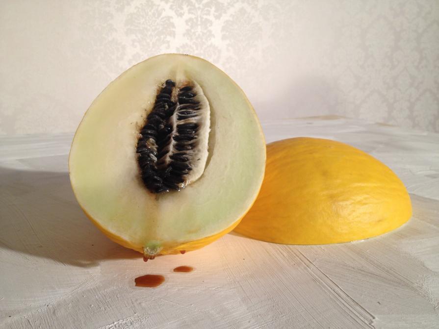 sterili nature sterili nature