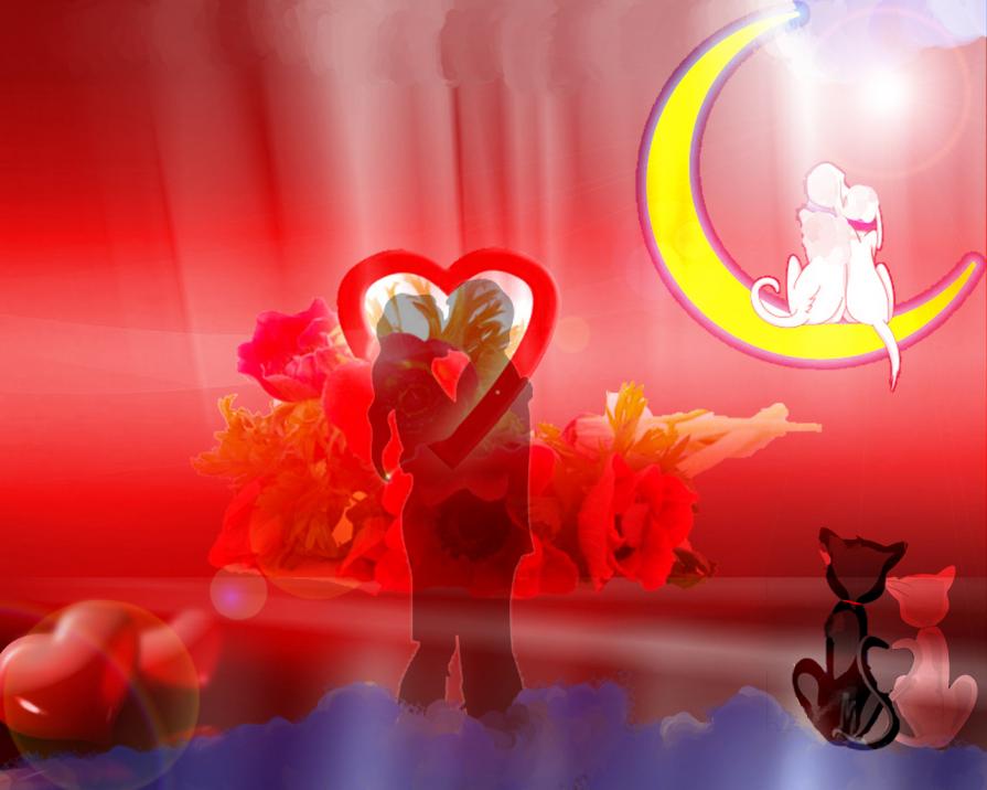 ,,,DEDICATO A TUTTI GLI INNAMORATI E A TUTTI QUELLI CHE CREDONO NEL VERO AMORE...!!! :-))))) ,,,DEDICATO A TUTTI GLI INNAMORATI E A TUTTI QUELLI CHE CREDONO NEL VERO AMORE...!!! :-)))))