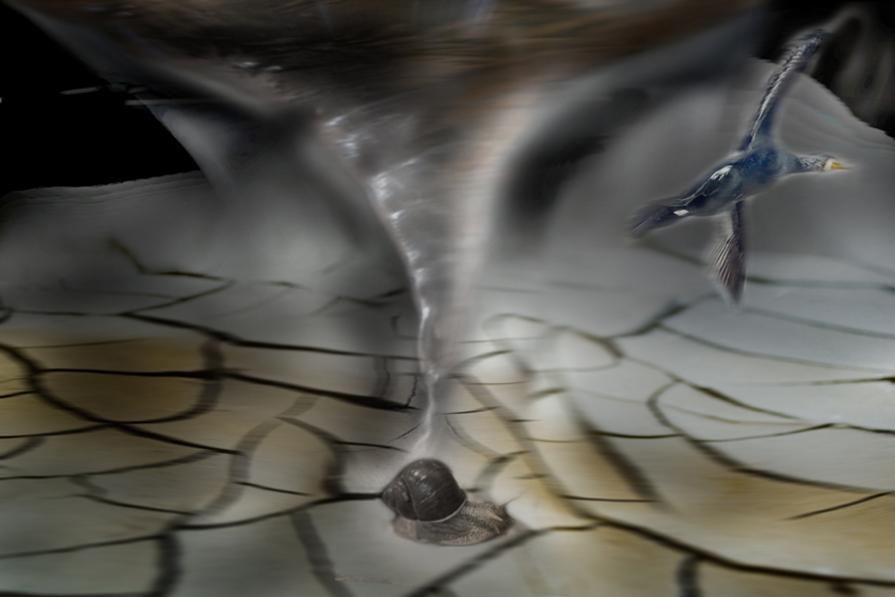 esco dal muse,fuori case vuote .il quartiere della vergogna,grazie  super ultra architetto,