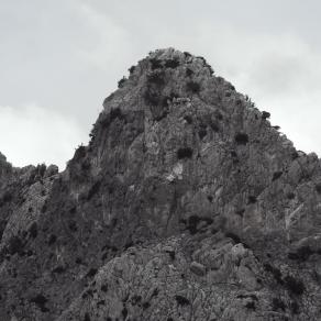 MORE THAN EVER Buffavento 33