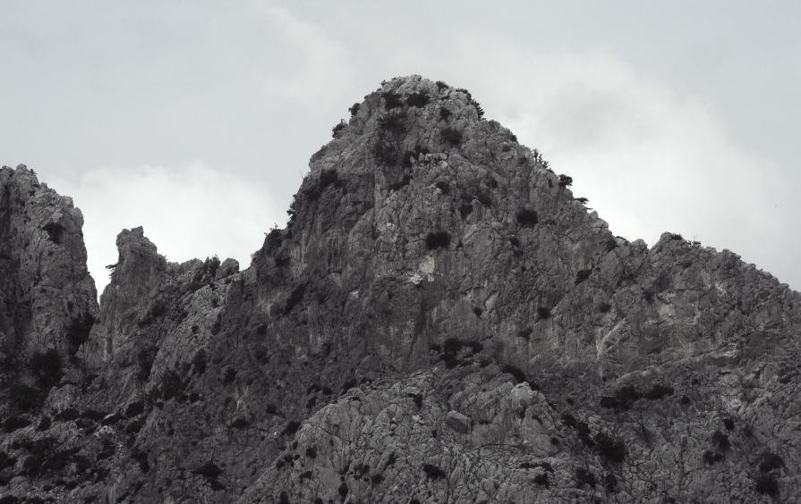 MORE THAN EVER Buffavento 33