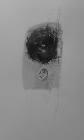 Opera n. 2 Nido - Tecnica mista su carta 2015 