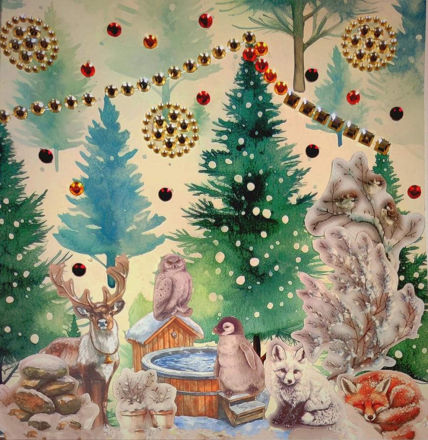 Winter collection 11