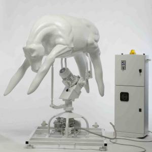 APOCALIPSE WOW! Mostra per il ventennale della caduta del Muro. APOCALIPSE WOW! Mostra per il ventennale della caduta del Muro.