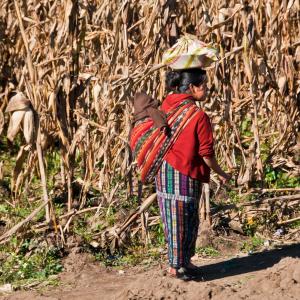 Guatemala. Tierras Mayas 2/2