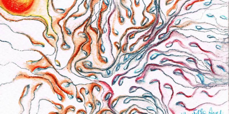 Maristella Angeli partecipa all’International call “Viva el Arte”per ArtMail, Puerto Rico