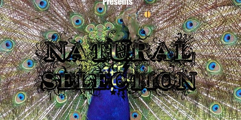 Natural Selection Natural Selection