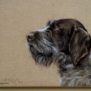 ANIMALS ART al Club La Meridiana di Modena