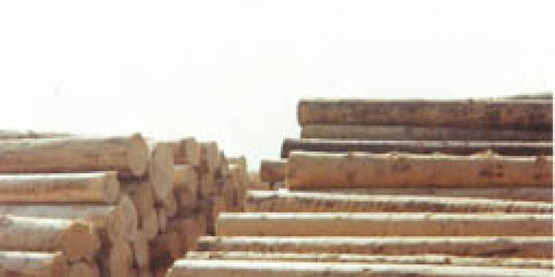 Processi di artificializzazione Processi di artificializzazione