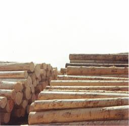 Processi di artificializzazione Processi di artificializzazione