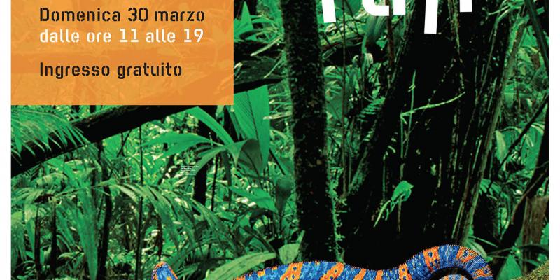 Step Art Fair Step Art Fair