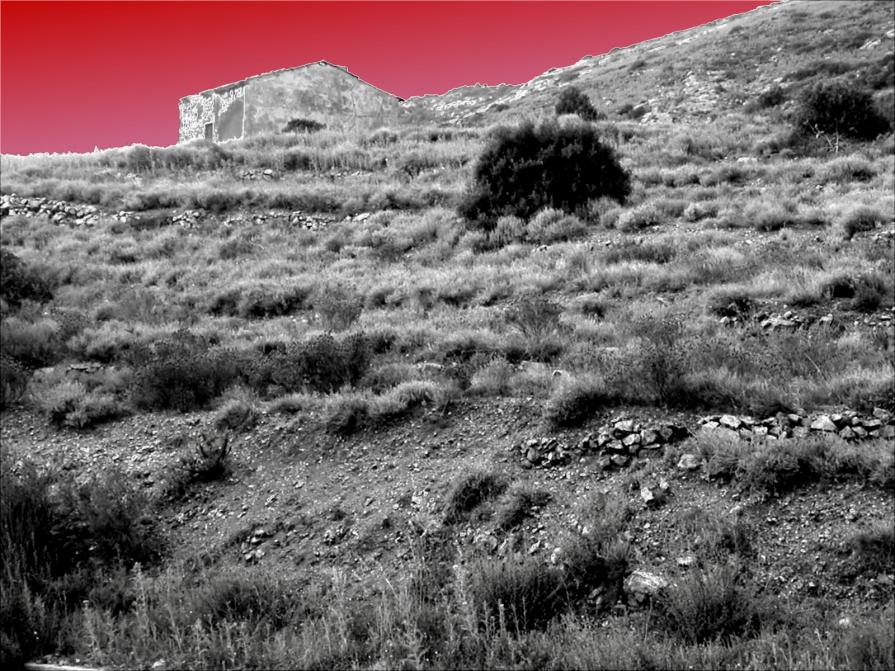 terrazzamenti - isola d'elba