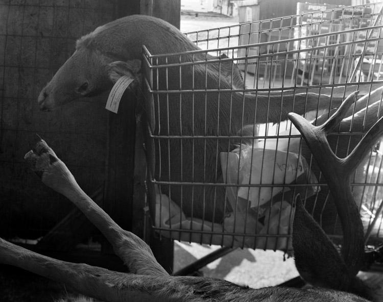 mementomori_year6day14 mementomori_year6day14