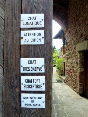 Attention au chat et au chien !!!