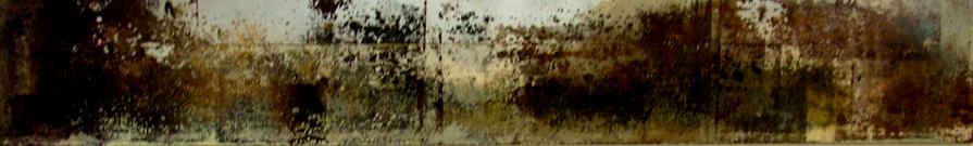 Il bosco di Dama Galadriel.