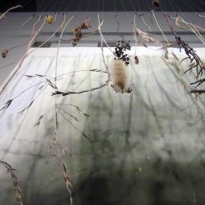 Time Casting, detail