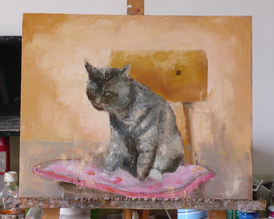 The cat is on the chair