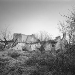 45.297553, 11.868526 Cornegliana, Padova 45.297553, 11.868526 Cornegliana, Padova