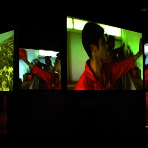 The Connivance of Watching Birds The Connivance of Watching Birds