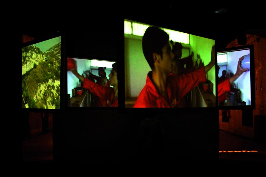 The Connivance of Watching Birds