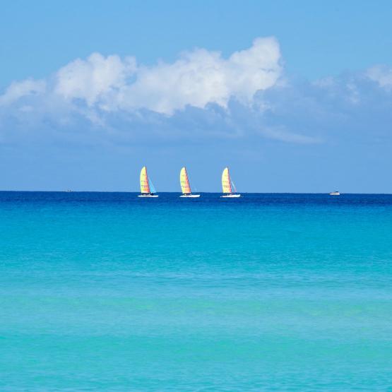 Natural Colors (Varaderõ)