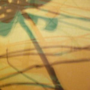 I colori della biodiversità -2015