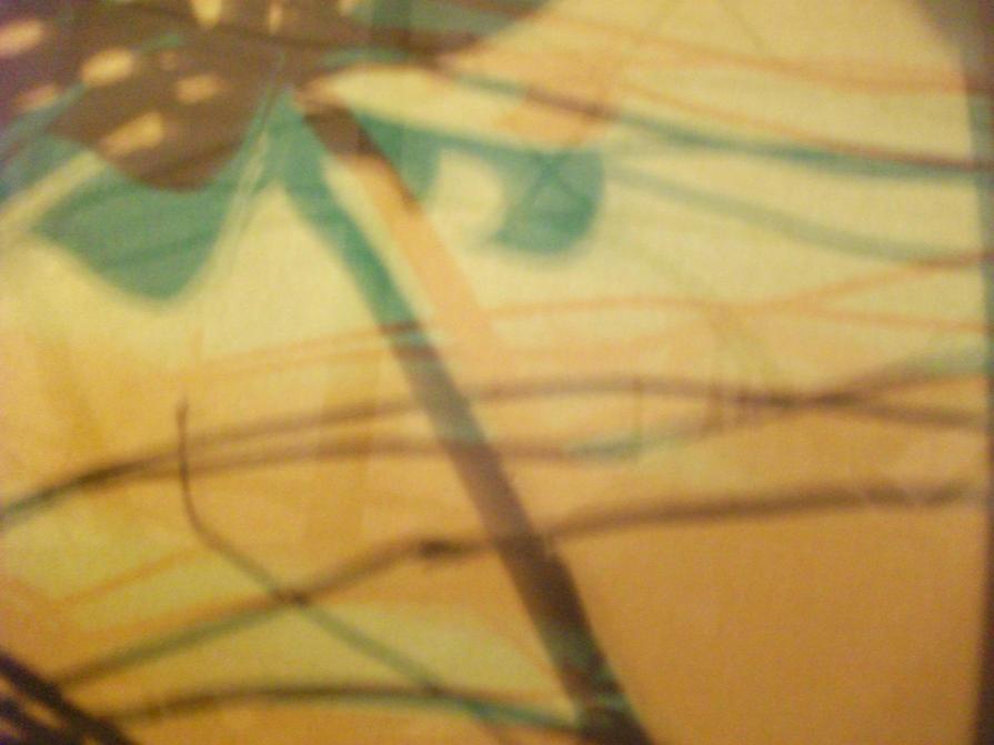 I colori della biodiversità -2015