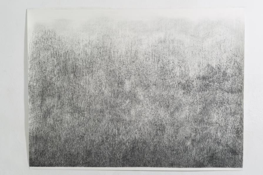 Unidentified Landscape, 150 x 195 cm