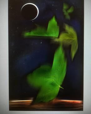 Adesso posso andare a dormire. 