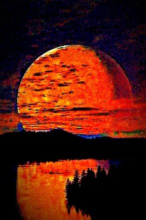 Quando il cielo prende fuoco e il mondo si riflette.. la natura si ferma ad ammirare...