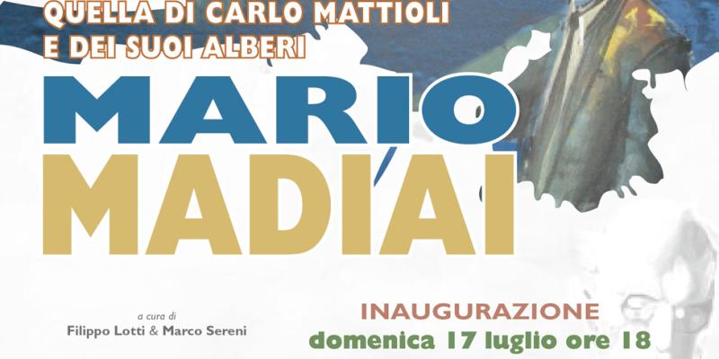 “Vi racconto una storia, quella di Carlo Mattioli e dei suoi alberi”