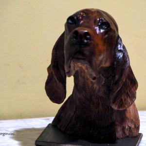 ANIMALS ART al Club La Meridiana di Modena