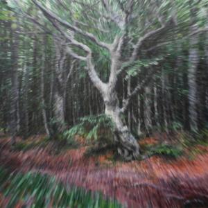 Le donne, i cavalier, l’arme, gli amori