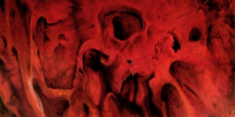 mostra  the body/il corpo