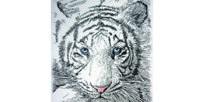 The new Start The new Start