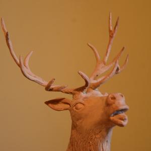 LE FOTO DI ALTRA NATURA IN VILLA fino al 25 ottobre CLUB LA MERIDIANA (MO)