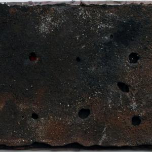 I bambini e le donne della Shoah