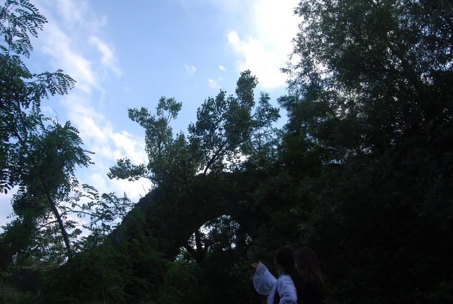 Eternal (Gothic Contest)