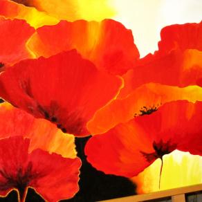 luce di papaveri