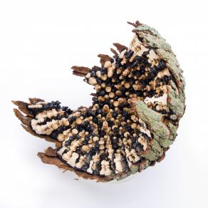 The Eternal Struggle