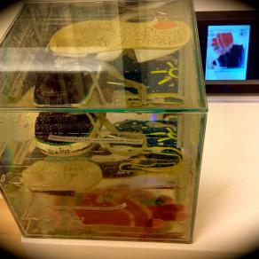 Bureau des objets perdus 