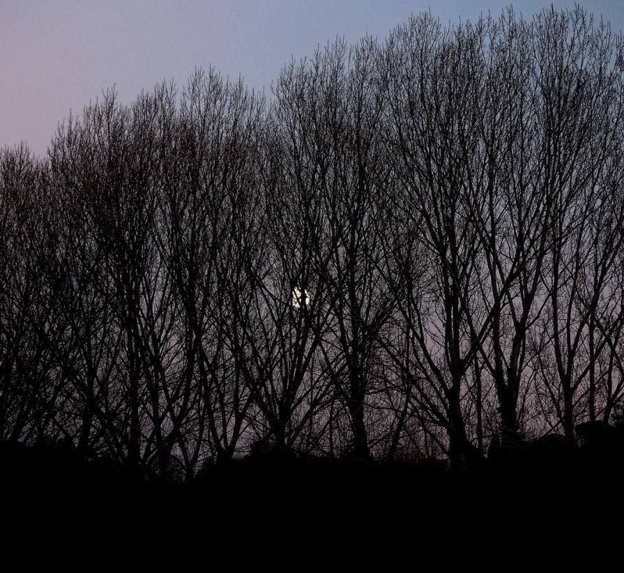 La natura mi guida ( The nature guides me ) 