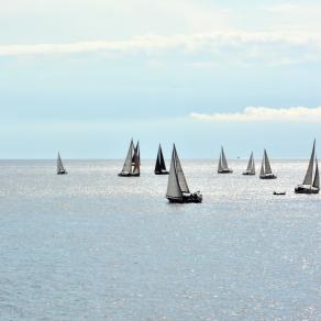 Armonie luminose...  Bright harmony