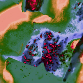 Pustole Insanguinate