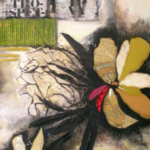 Percorsi d'Arte - Sei artisti a confronto - Sala Agostiniana Piazza del Popolo