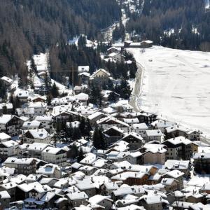 Italy. Val d'Aosta. White and his reflexes