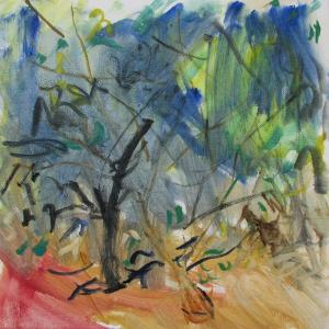 Rediscovering the landscape