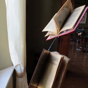 NUOVO EVENTO SABATO 22 ALLE ORE 18.00 ALLA PERSONALE DI BARBARA GHISI A MODENA 