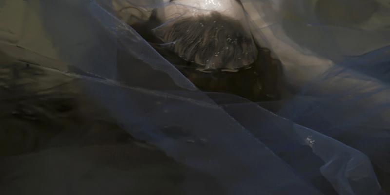 OFELIA: ieri e oggi, vittima di femminicidio.