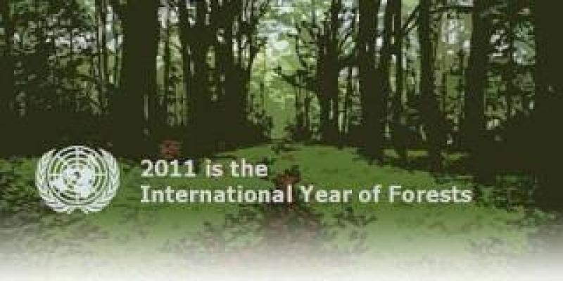 Expo Internazionale Di Arti Visive "IL RICHIAMO DELLA FORESTA" 10-17 Dicembre 2011 Expo Internazionale Di Arti Visive